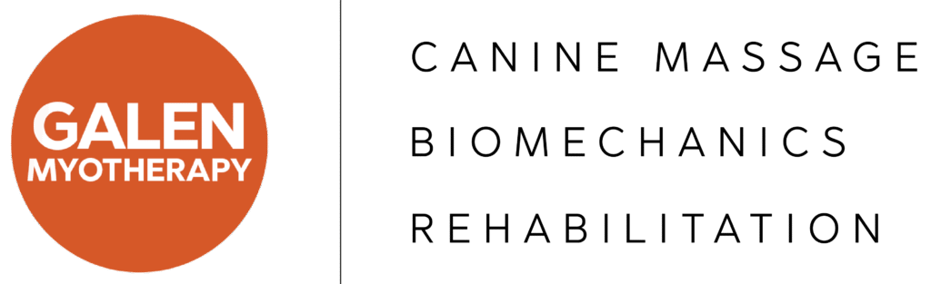 Galen Strapline with logo